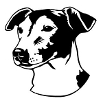 Jack Russell Head Decal Sticker